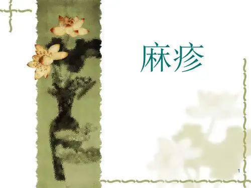 麻疹培训PPT课件