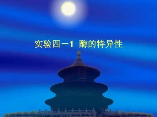 实验四-1、酶的特异性
