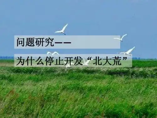 为什么停止开发“北大荒”