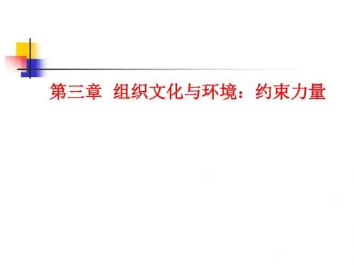 第三章组织文化与环境约束
