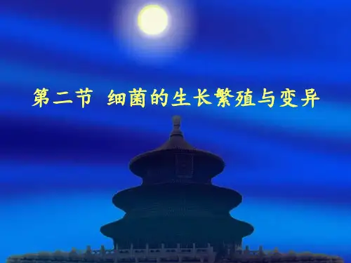 第二节 细菌的生长繁殖与变异
