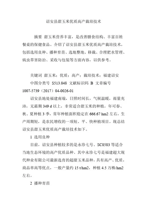 诏安县甜玉米优质高产栽培技术