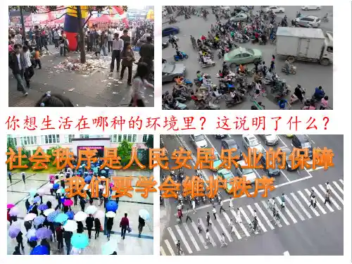 3.1社会生活离不开规则(第一课时).ppt