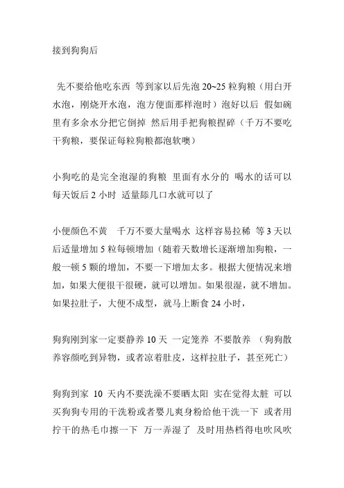 狗狗到新家