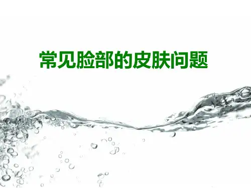 几种脸部常见的肌肤问题PPT精选课件