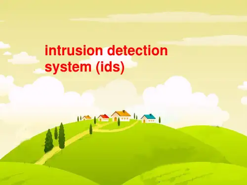 intrusion detection system (ids)