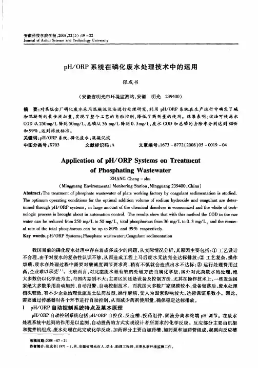 pH／ORP系统在磷化废水处理技术中的运用