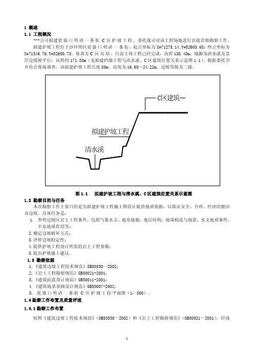 某护坡工程实例报告