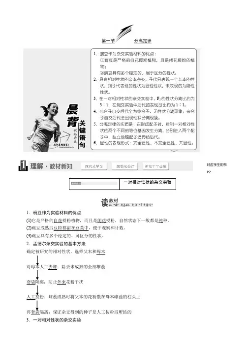高中生物必修二学案：第一章 第一节 分离定律 Word版含答案