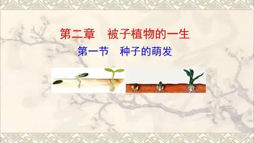 七年级生物上册第三单元第二章第一节种子的萌发课件新新人教 (2)