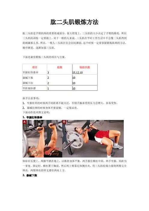 肱三头肌锻炼方法