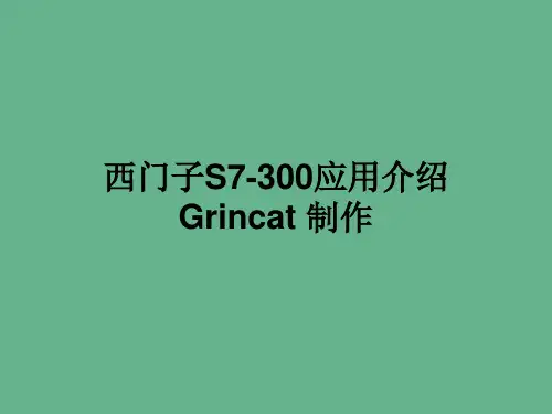 西门子S7-300应用介绍(课件内含有演讲者注解)