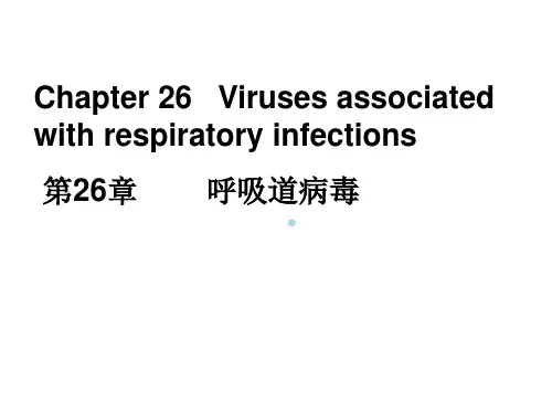 医学微生物学课件第26章呼吸道病毒