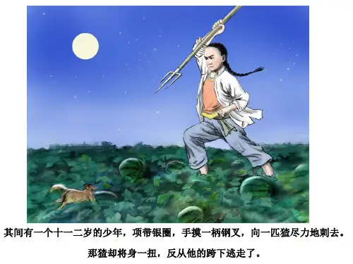 人物肖像作文