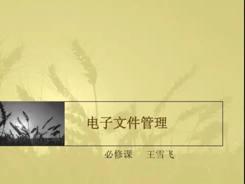 电子文件管理第三章