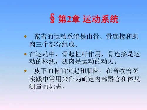第二章+运动系统骨
