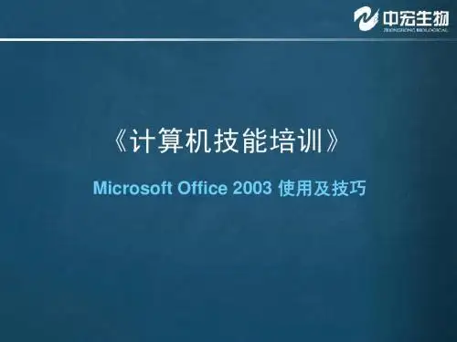 计算机技能