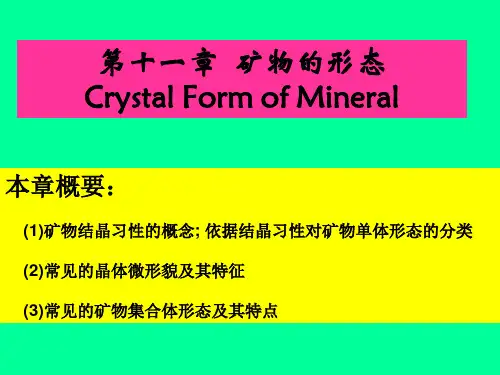 第11章 形态