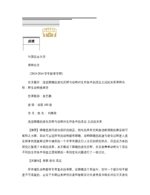 浅谈眼睛的进化历程与动物对环境的适应之间的关系概要