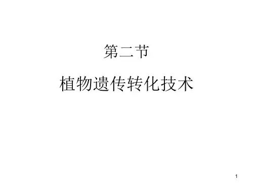 植物遗传转化技术