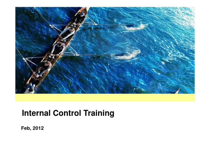 最新内部控制培训(英文版)-internal control training 绝对原创