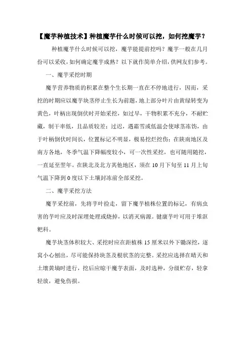 【魔芋种植技术】种植魔芋什么时候可以挖,如何挖魔芋？