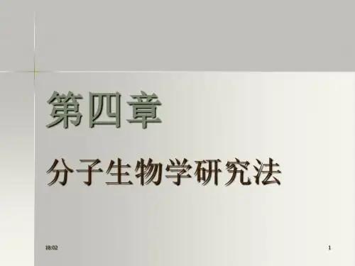 第四章分子生物学研究法修定版(13年)