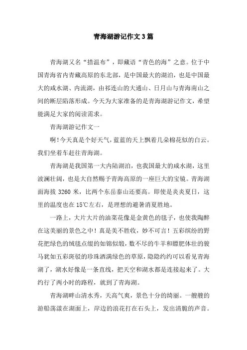 青海湖游记作文3篇