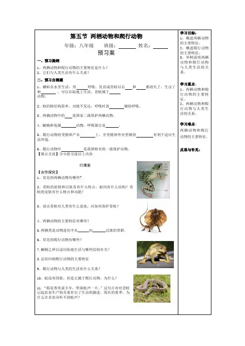 第五节 两栖动物和爬行动物