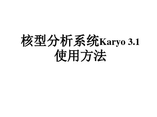核型分析系统使用方法