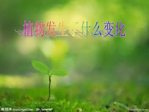 3上.1.6植物发生了什么变化