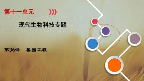 2019大一轮高考总复习生物课件：第十一单元 现代生物