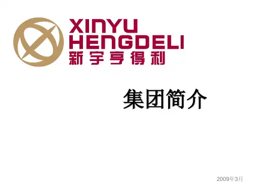 新宇集团简介 - 副本