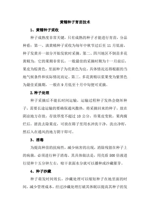 黄精种子育苗技术