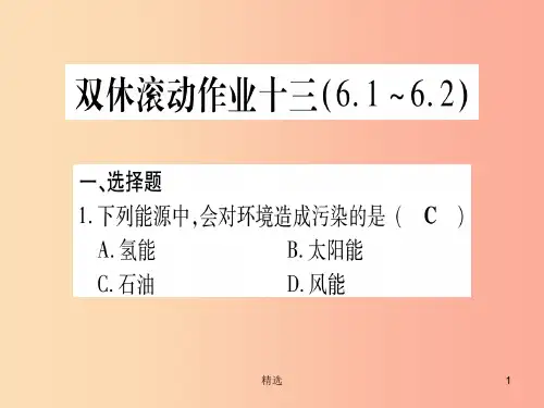 201X年秋九年级化学全册 双休滚动作业(13)习题课件(新版)鲁教版
