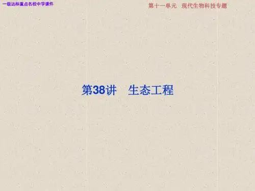 高中生物一轮复习方案课件:第11单元 4 第38讲生态工程