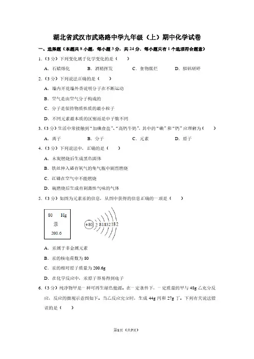 湖北省武汉市武珞路中学九年级(上)期中化学试卷 (2)