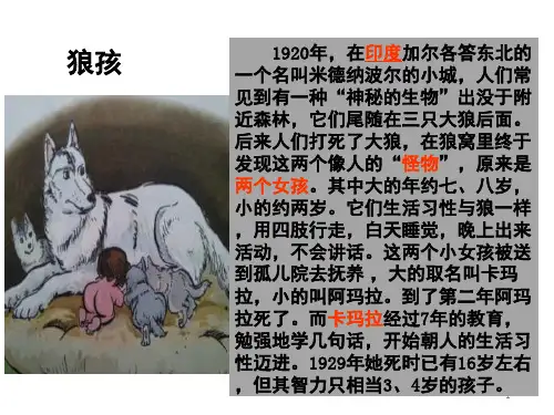 在社会中成长(课堂PPT)