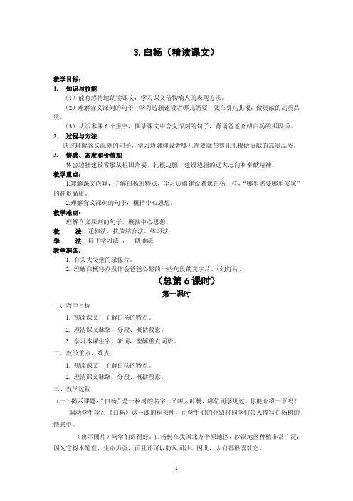 3、白杨