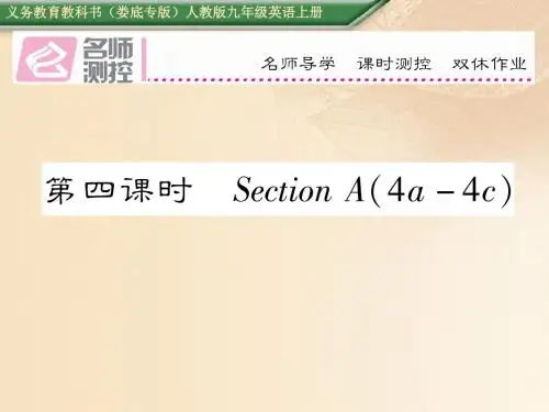 九年级英语全册Unit4Iusedtobeafraidofthedark第4课时课件新版人教新目标版