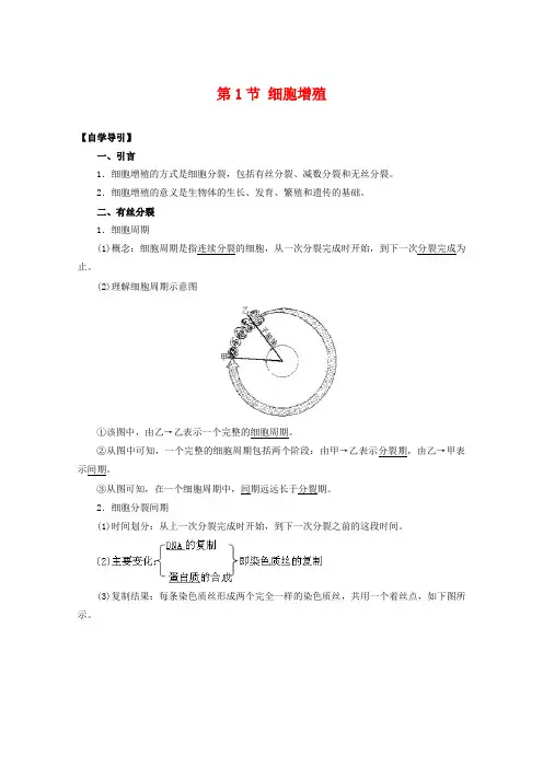 高中生物5.1《细胞增殖》学案01(苏教版必修1)