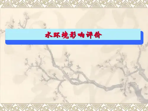 水环境影响评价ppt