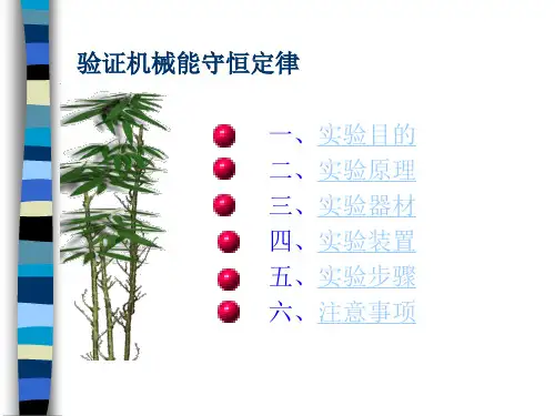 高中物理必修2验证机械能守恒定律(ppt)