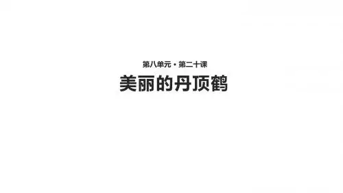 美丽的丹顶鹤