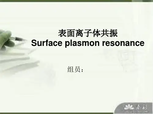 SPR技术全解
