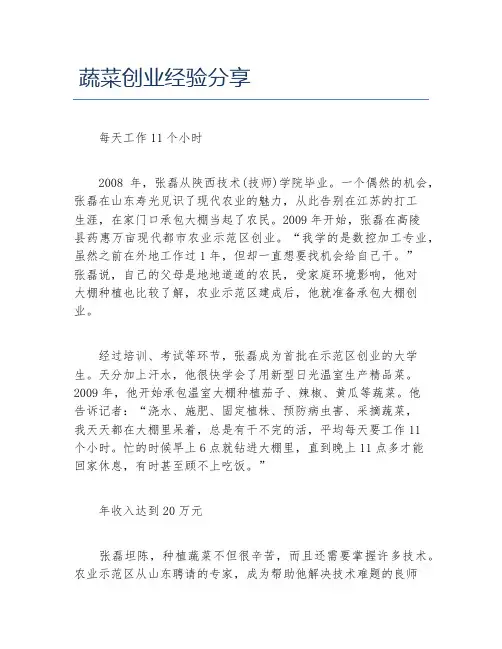 经验访谈蔬菜创业经验分享