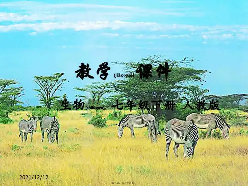 七年级生物下册第二章人体的营养第二节消化和吸收教学初中七年级下册生物