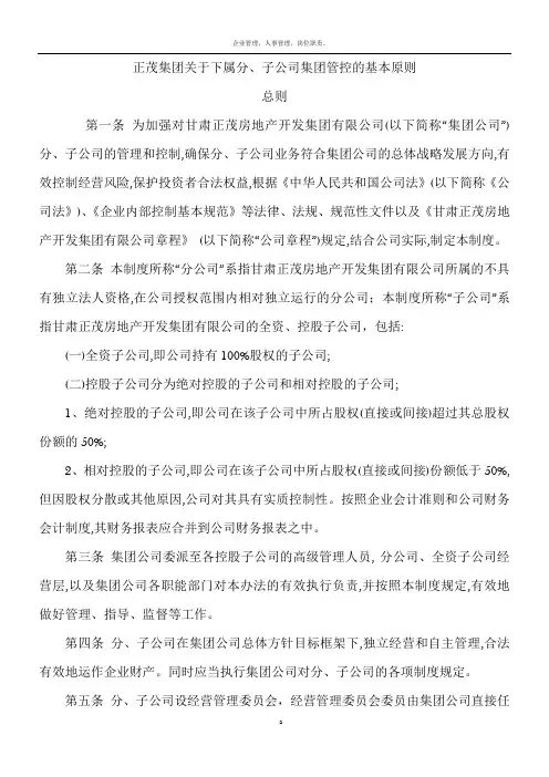 集团公司下属公司管理制度