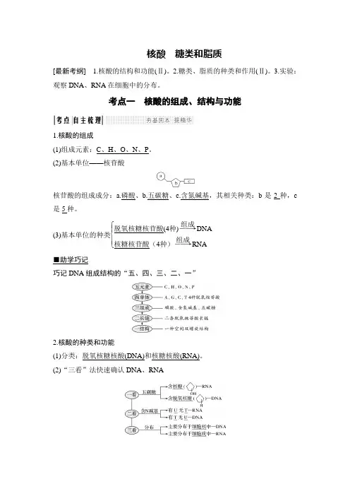 最经典总结-核酸 糖类和脂质