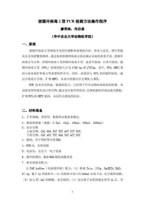 DNA病原—圆环病毒2型PCR检测方法
